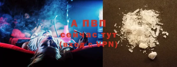 стаф Баксан
